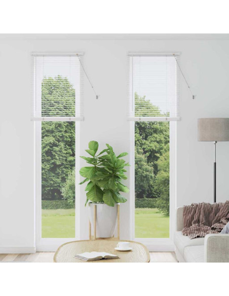 Tenda per Finestra con tende Altro Bianco 60 x 220 cm Alluminio