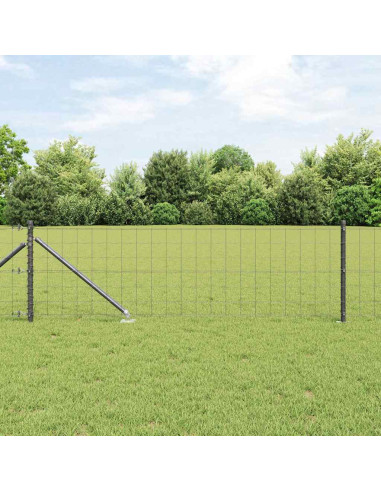 Recinzione con Posto Grigio 0,8 x 25 m Acciaio