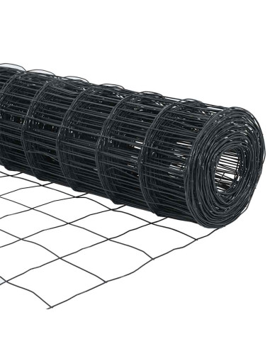 Recinzione con Posto Grigio 0,8 x 25 m Acciaio