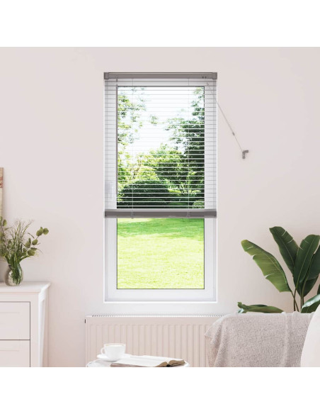 Tendaggi a veneziana Argento 175 x 55 cm Alluminio