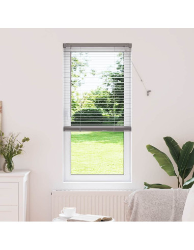 Tendaggi a veneziana Argento 175 x 60 cm Alluminio