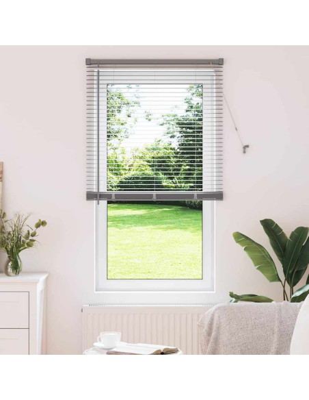 Tendaggi a veneziana Argento 175 x 70 cm Alluminio