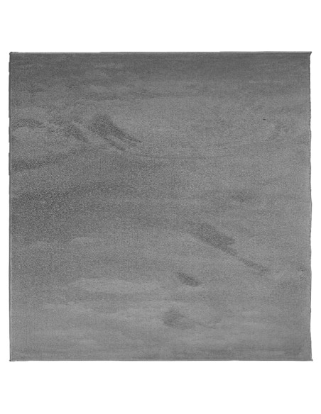 Tappeto OVIEDO a Pelo Corto Antracite 120x120 cm