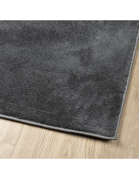 Tappeto OVIEDO a Pelo Corto Antracite 120x120 cm