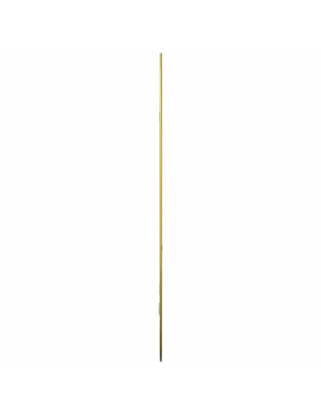 Specchio da Parete Dorato 70x45 cm