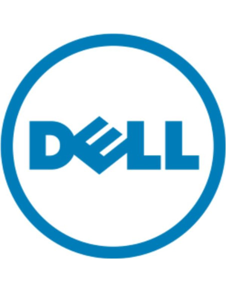 DELL 400-BONG drives allo stato solido 480 GB M.2
