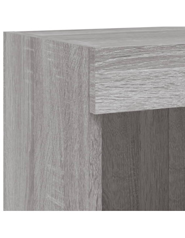 Mobili TV con Luci LED 2pz Grigio Sonoma 100x30x30 cm