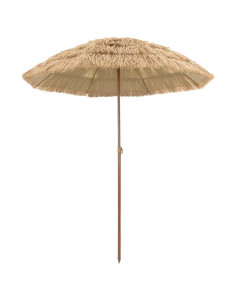 Ombrellone da Spiaggia Naturale 255 x 255 x 255 cm 2