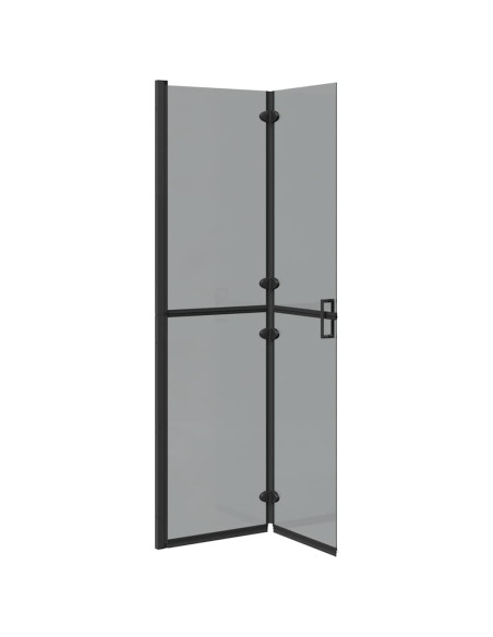 Parete doccia Walk-in Nero e trasparente scuro 100 x 190 cm