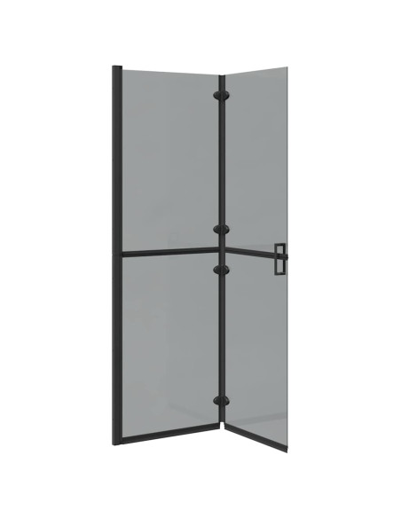 Parete doccia Walk-in Nero e trasparente scuro 120 x 190 cm
