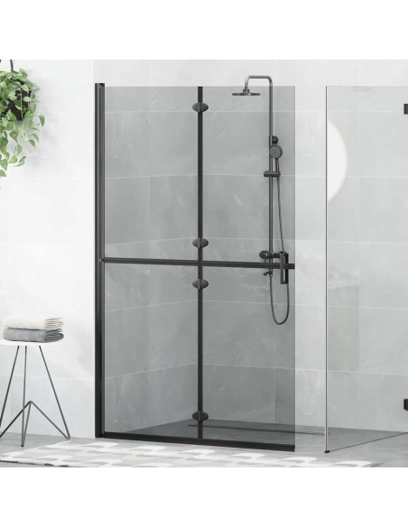 Parete doccia Walk-in Nero e trasparente scuro 120 x 190 cm