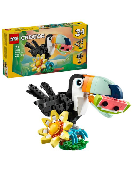 ANIMALI SELVATICI TUCANO TROPICALE