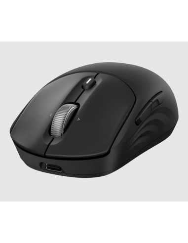 HP Mouse wireless ricaricabile 700