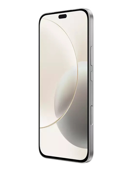 Honor 400 Lite 17 cm (6.7") Doppia SIM MagicOS 9.0 5G Micro-USB 8 GB 256 GB 5230 mAh Grigio