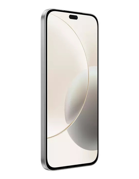 Honor 400 Lite 17 cm (6.7") Doppia SIM MagicOS 9.0 5G Micro-USB 8 GB 256 GB 5230 mAh Grigio