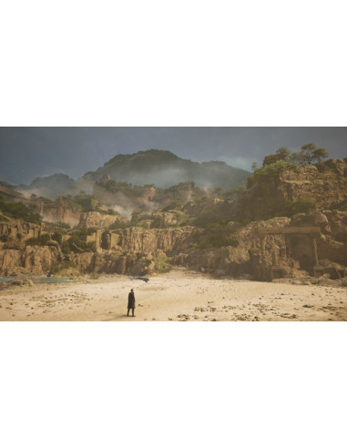 Sony Lost Soul Aside Standard Cinese semplificato, Inglese, Giapponese PlayStation 5