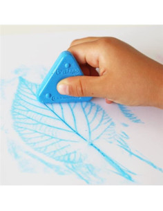 CF6 TRINGOLI DI CERA COL ASS 2