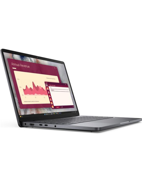 DELL PRO 14 PC14250