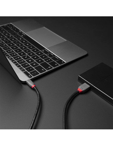 Lindy 36620 cavo USB USB 3.2 Gen 1 (3.1 Gen 1) 0,5 m USB C Micro-USB B Nero