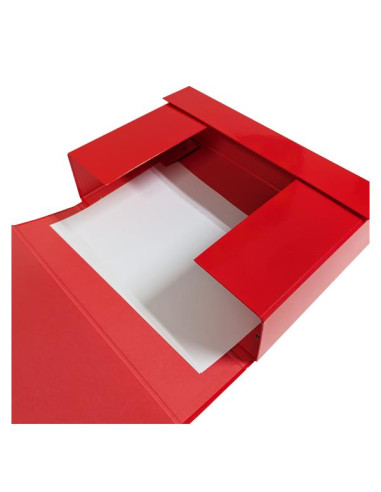 PORTA PROGETTI DORSO 10 COL. ASS.