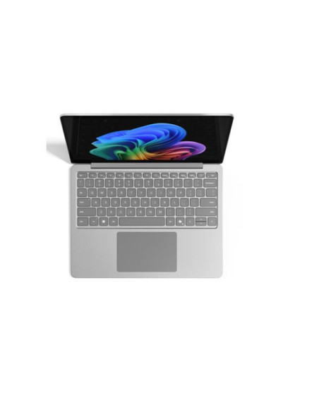 LAPTOP13IN C8/24/1TB PLAT