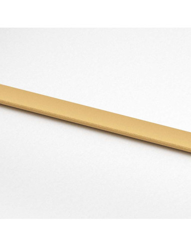 Porta Scorrevole Dorata 76x205 Vetro Smerigliato ESG Alluminio