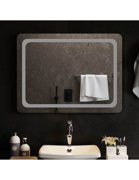 Specchio da Bagno con Luci LED 80x60 cm