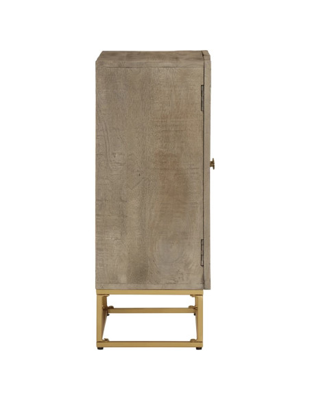 Credenza 55x30x76 cm in Legno Massello di Mango e Ferro
