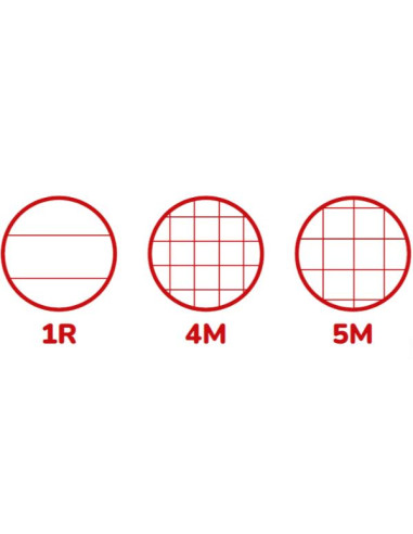CF10 QUAD A4 80GR R.5M FG40+2 C.ASS