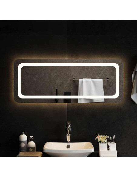 Specchio da Bagno con Luci LED 100x40 cm