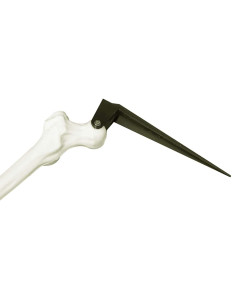 Scheletro di Halloween Bianco 20 x 10 x 9.5 cm Plastica 2