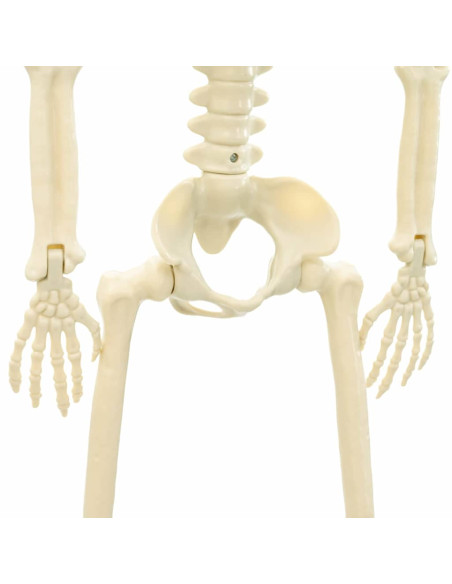 Scheletro di Halloween Regolabile 2 pcs Bianco 85 cm PVC