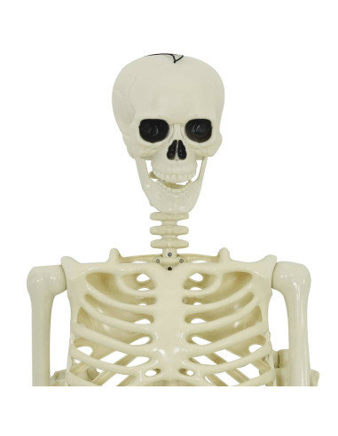 Decorazione Halloween: scheletro con cane 2 pcs Bianco 155 cm