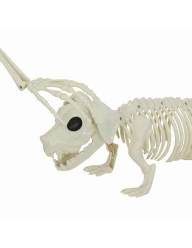 Decorazione Halloween: scheletro con cane 2 pcs Bianco 155 cm