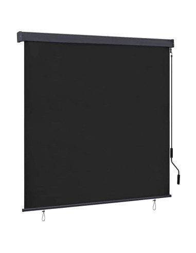 Tenda a Rullo Esterna Rigato Antracite 180 x 250 cm Tessuto