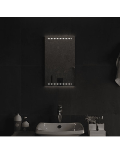 Specchio da Bagno con Luci LED 30x50 cm