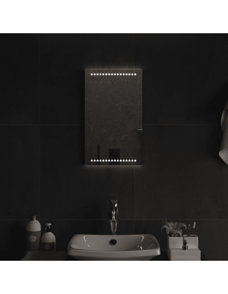 Specchio da Bagno con Luci LED 30x50 cm