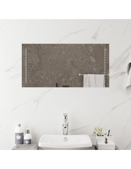 Specchio da Bagno con Luci LED 40x80 cm