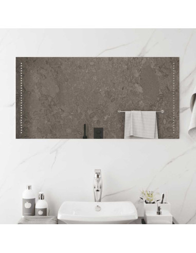 Specchio da Bagno con Luci LED 100x50 cm