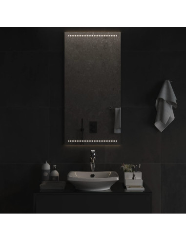 Specchio da Bagno con Luci LED 50x100 cm