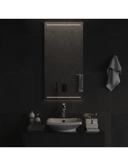 Specchio da Bagno con Luci LED 50x100 cm