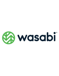 WASABI SURV CLOUD 100TB 1 YEAR