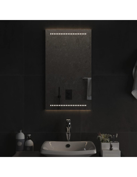 Specchio da Bagno con Luci LED 40x70 cm