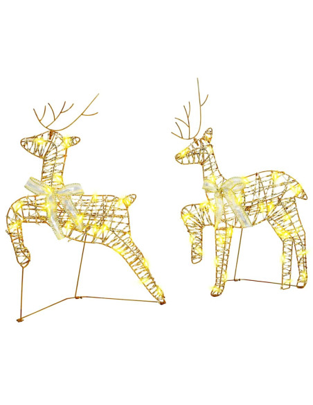 Renne LED con 40 LED 2 pcs Bianco caldo 64 x 42 x 15 cm PET