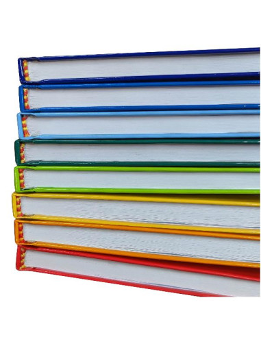 CF5 QUAD CART A5 80GR R.4MM COL ASS