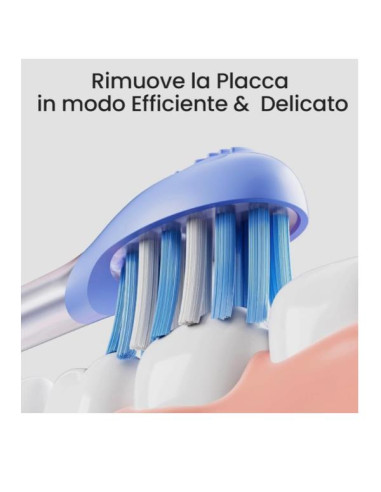 EASY CLEAN-2 PACK BLUE