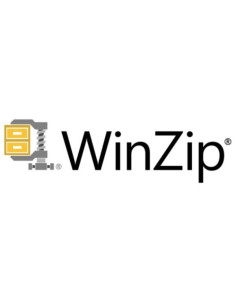 WINZIP ENT MAINT (1YR) ML 100-999 2