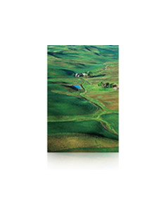 Epson Premium SemiGloss Photo Paper(250), in rotoli da 152, 4cm x 30, 5m