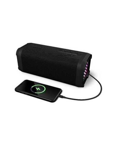 PARTY SPEAKER 70W BT/USB LUCI LED