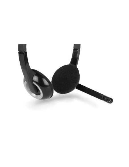 CUFFIA CON MIC. + USB-C ADAPTER